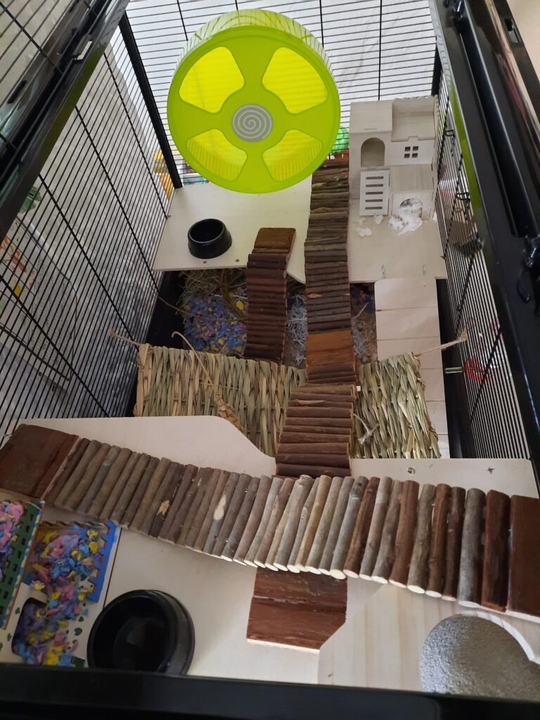 Image #1 from Kim Mack