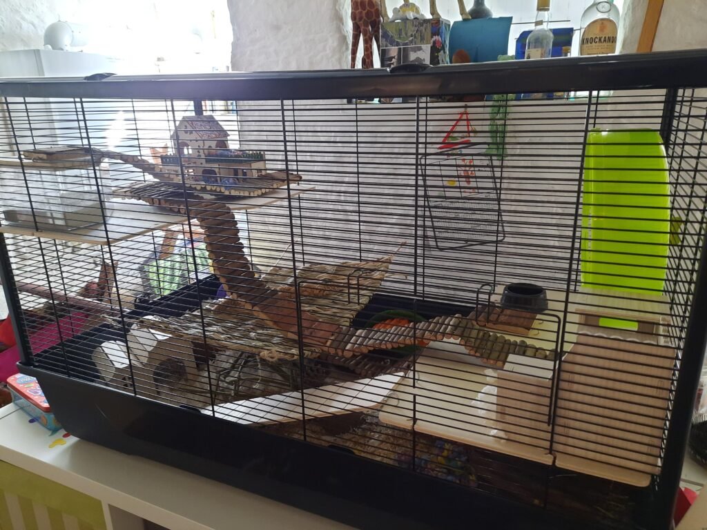 Image #2 from Kim Mack