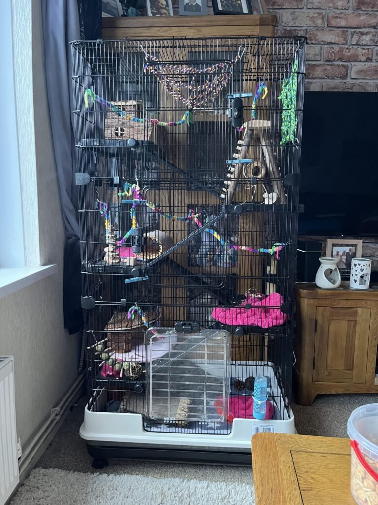 Image #1 from Penelope harley