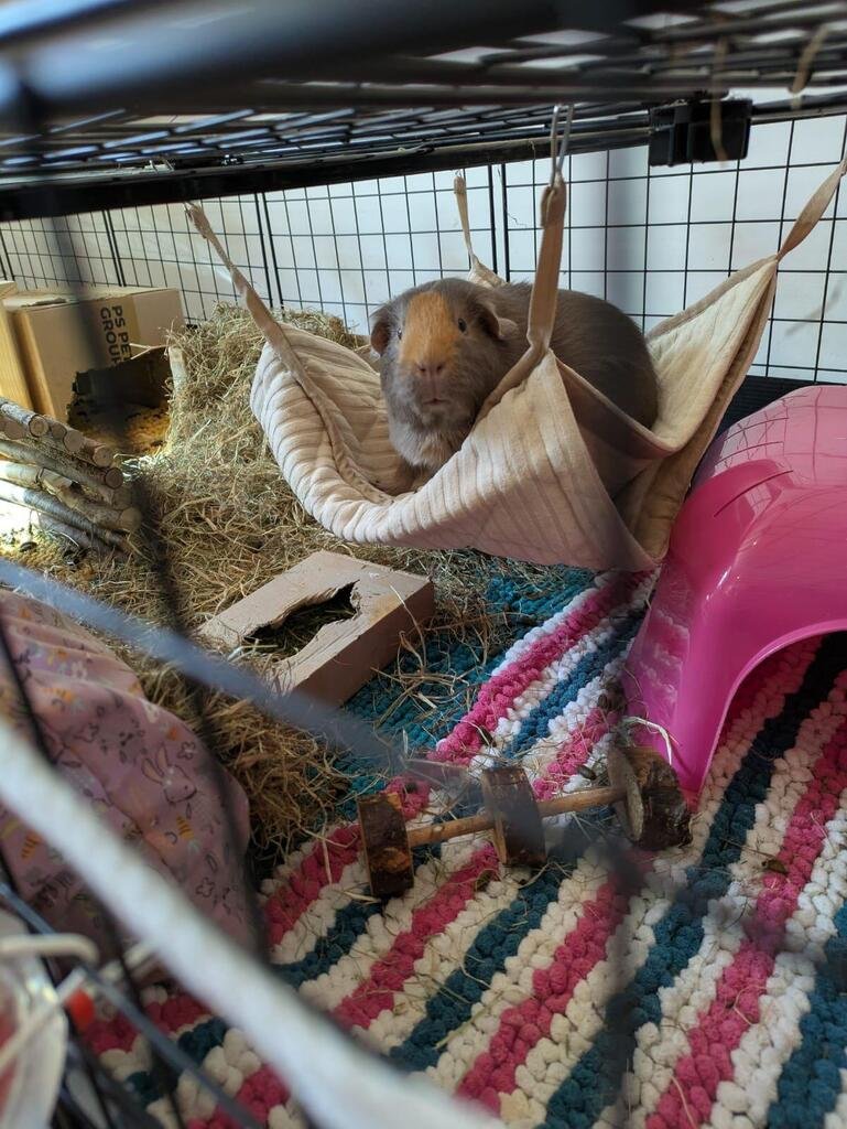 Image #1 from Catherine Rayson