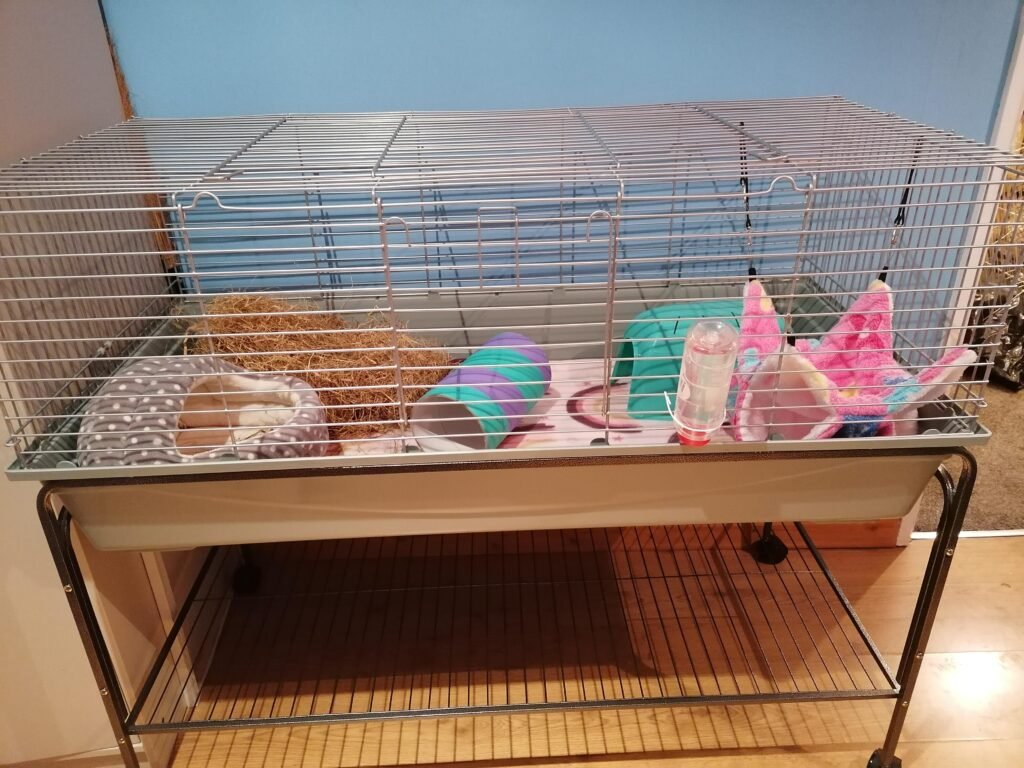 Image #2 from Hayley Jukes