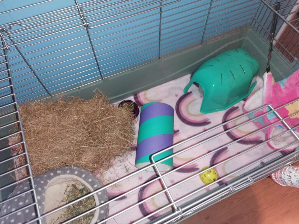 Image #1 from Hayley Jukes