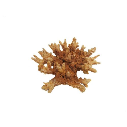 Fish Tank Ornament Coral - 185mm | Classic
