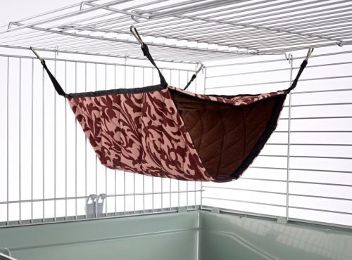 Pet Rat Ferret Chinchilla Giant Double Bunkbed Hammock - Damask | Little Friends
