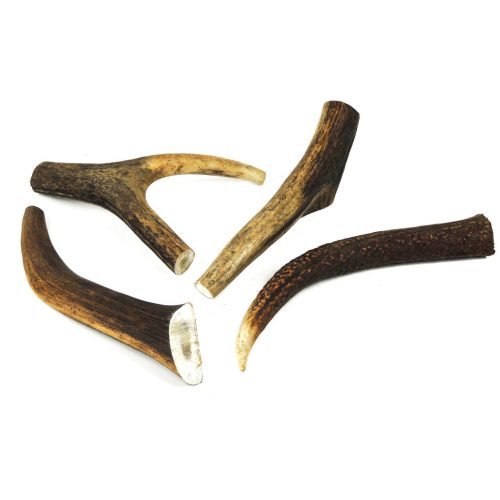 Dog Chew Deer Antler - Large (100-150g, 13cm) | CLASSIC