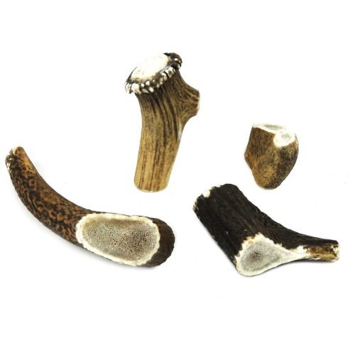 Dog Chew Deer Antler - Medium (50-100g, 10cm) | CLASSIC