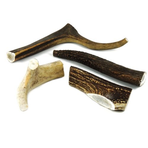 Dog Chew XL Deer Antler 150-200g (16cm) | Classic