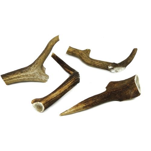 Dog Chew XXL Deer Antler 200-250g (19cm) | Classic