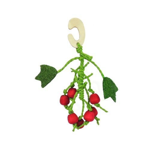 Guinea Pig Rabbit Chinchilla Eco Hanging Toy Berry Nibble - 220mm | Little Friends