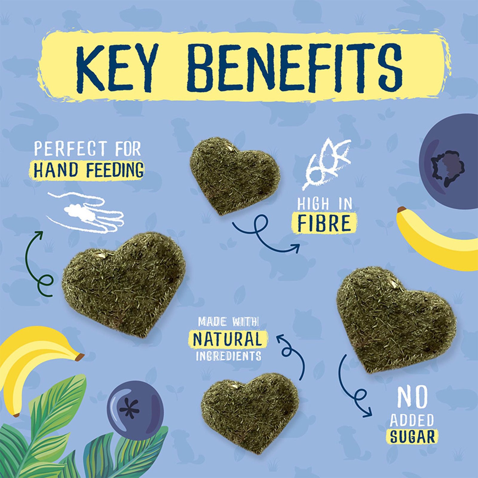 Pet Rabbit Guinea Pig Fruity Treats - Banana & Blueberry 60g | Burgess Excel - Image 2