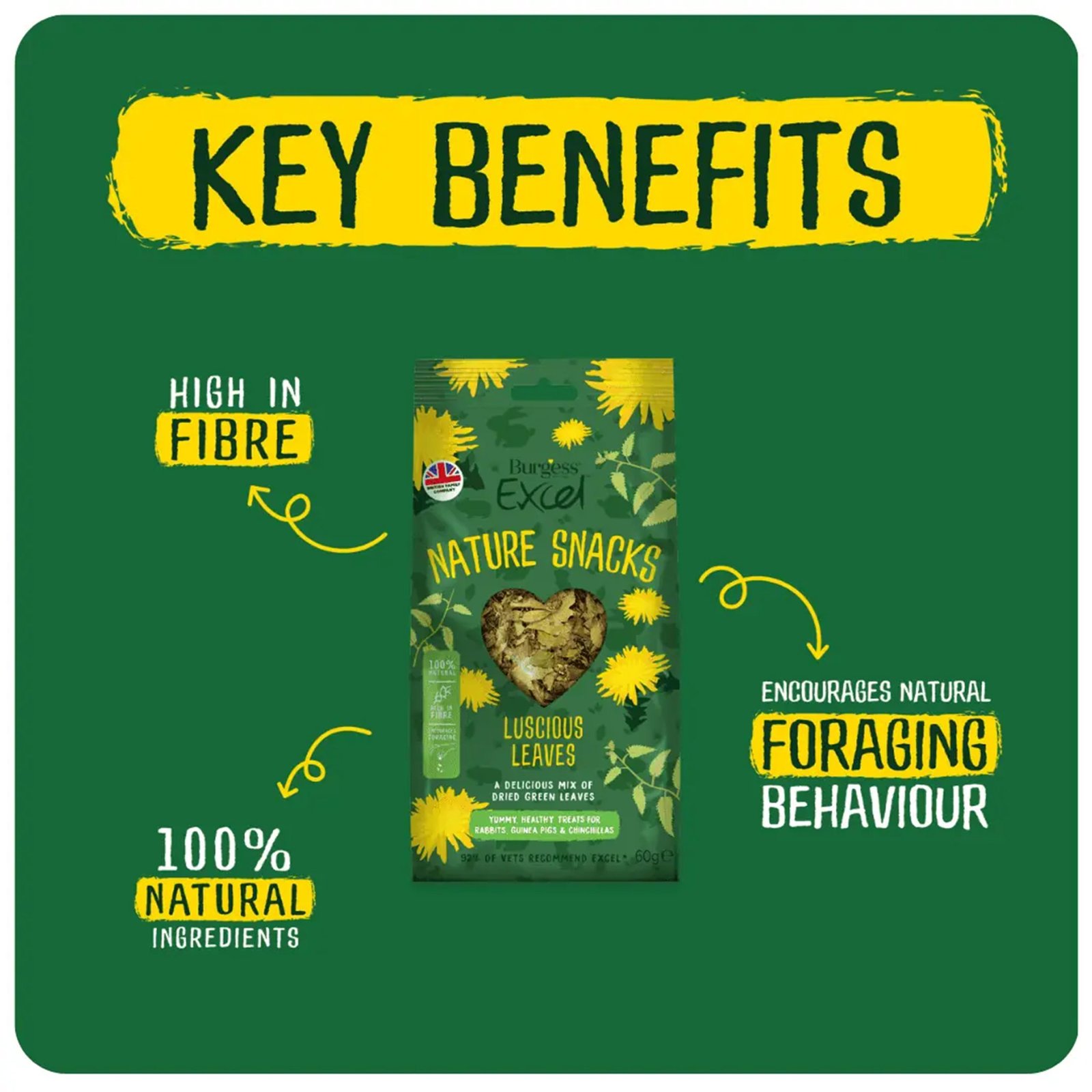 Pet Rabbit Guinea Pig Chinchilla Foraging Leaves - 60g | Excel - Image 3