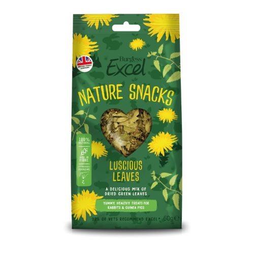 Pet Rabbit Guinea Pig Chinchilla Foraging Leaves - 60g | Excel