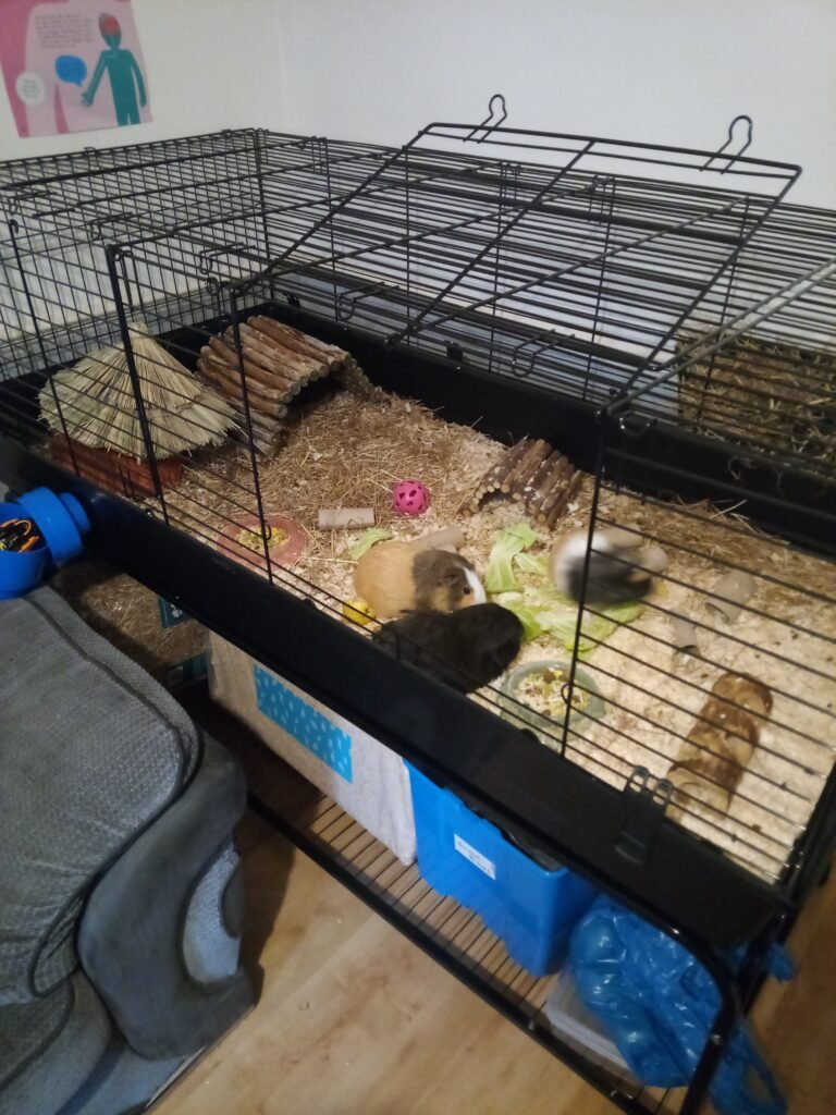 Image #1 from Nikki Jones