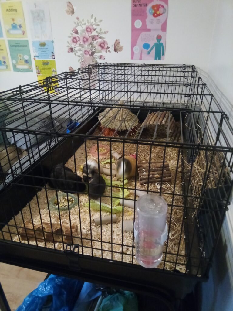 Image #2 from Nikki Jones