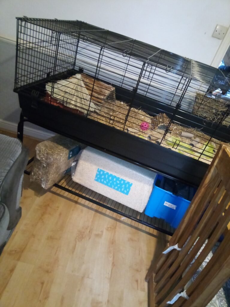 Image #1 from Nikki Jones