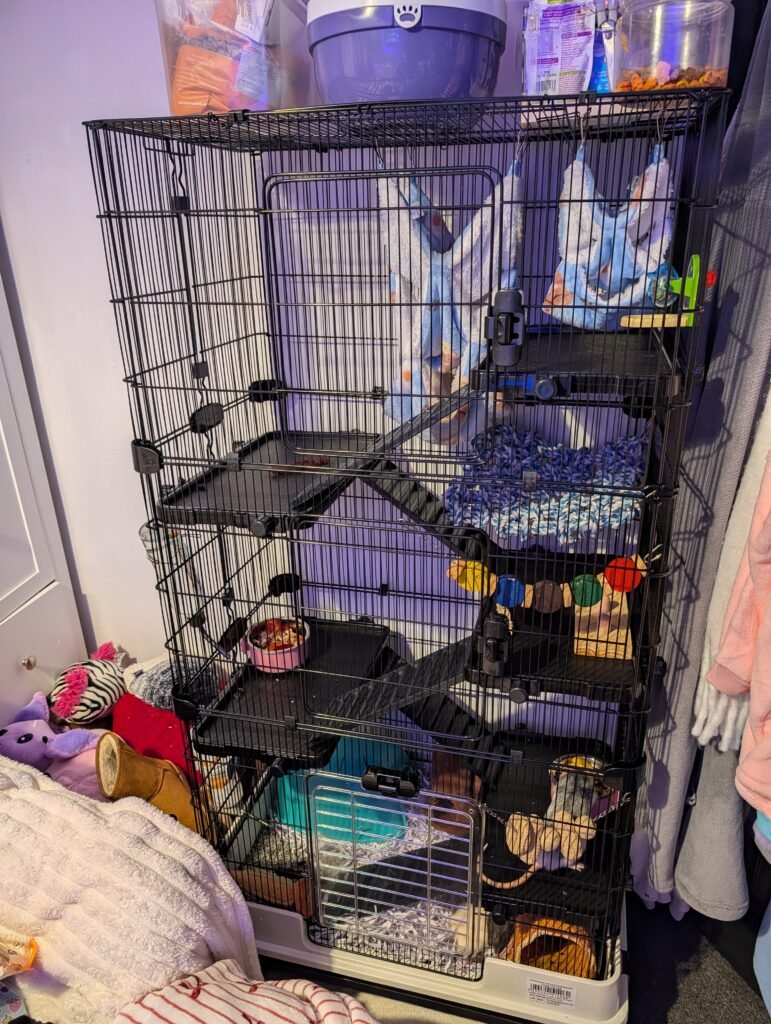 Image #1 from chrissie