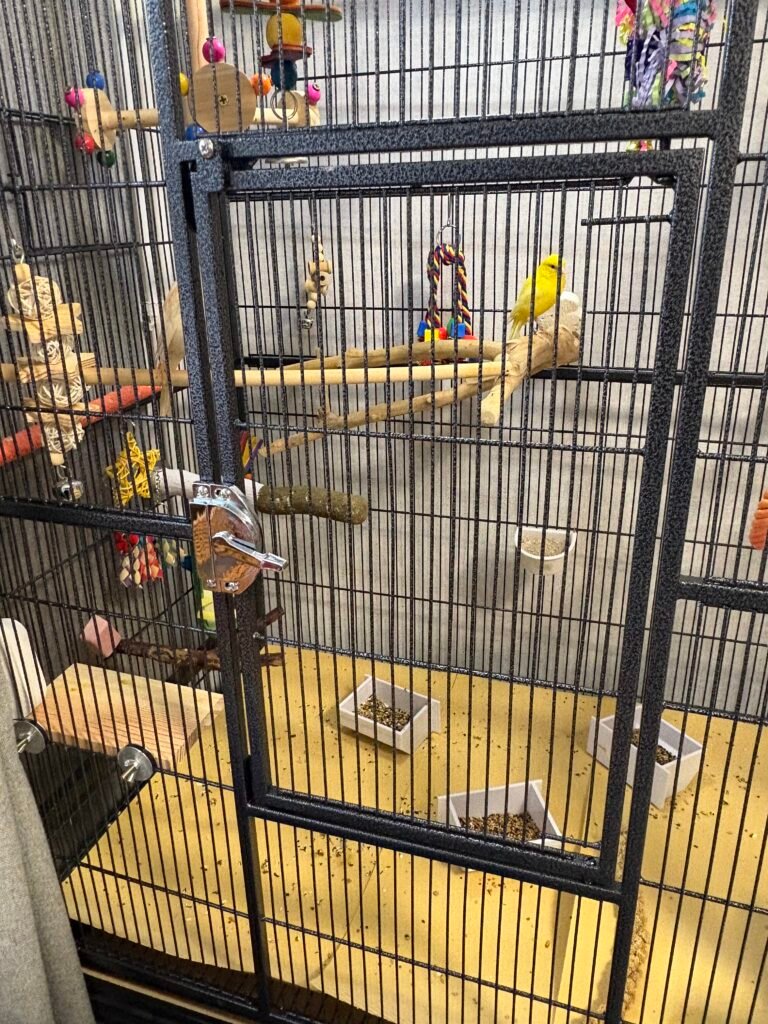 Image #1 from Anonymous