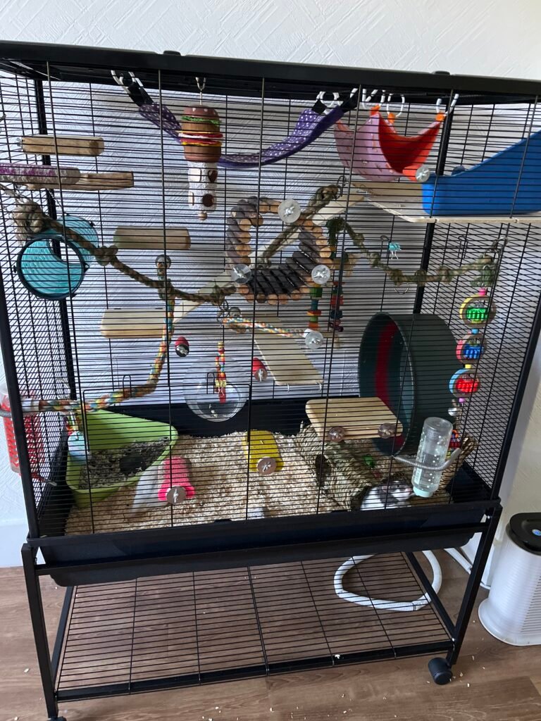 Image #1 from Tamara Willis