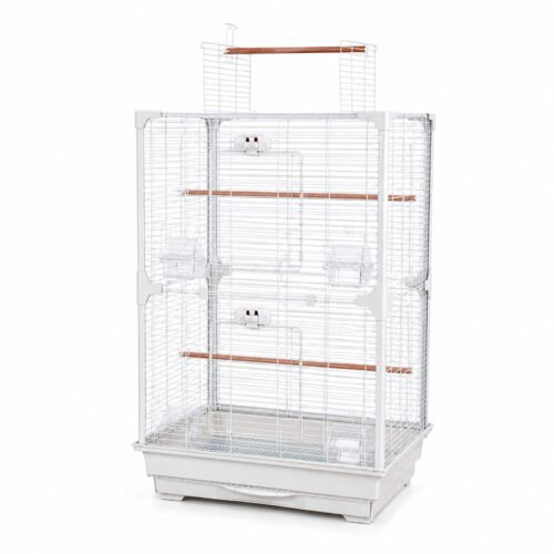 High Perch Tall Top-Opening Bird Cage with Twin Perches | Little Friends