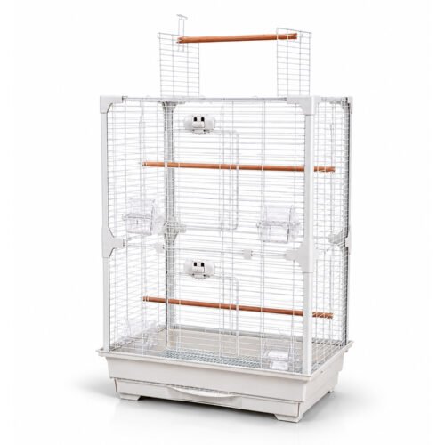 High Perch Tall Top-Opening Bird Cage with Twin Perches | Little Friends